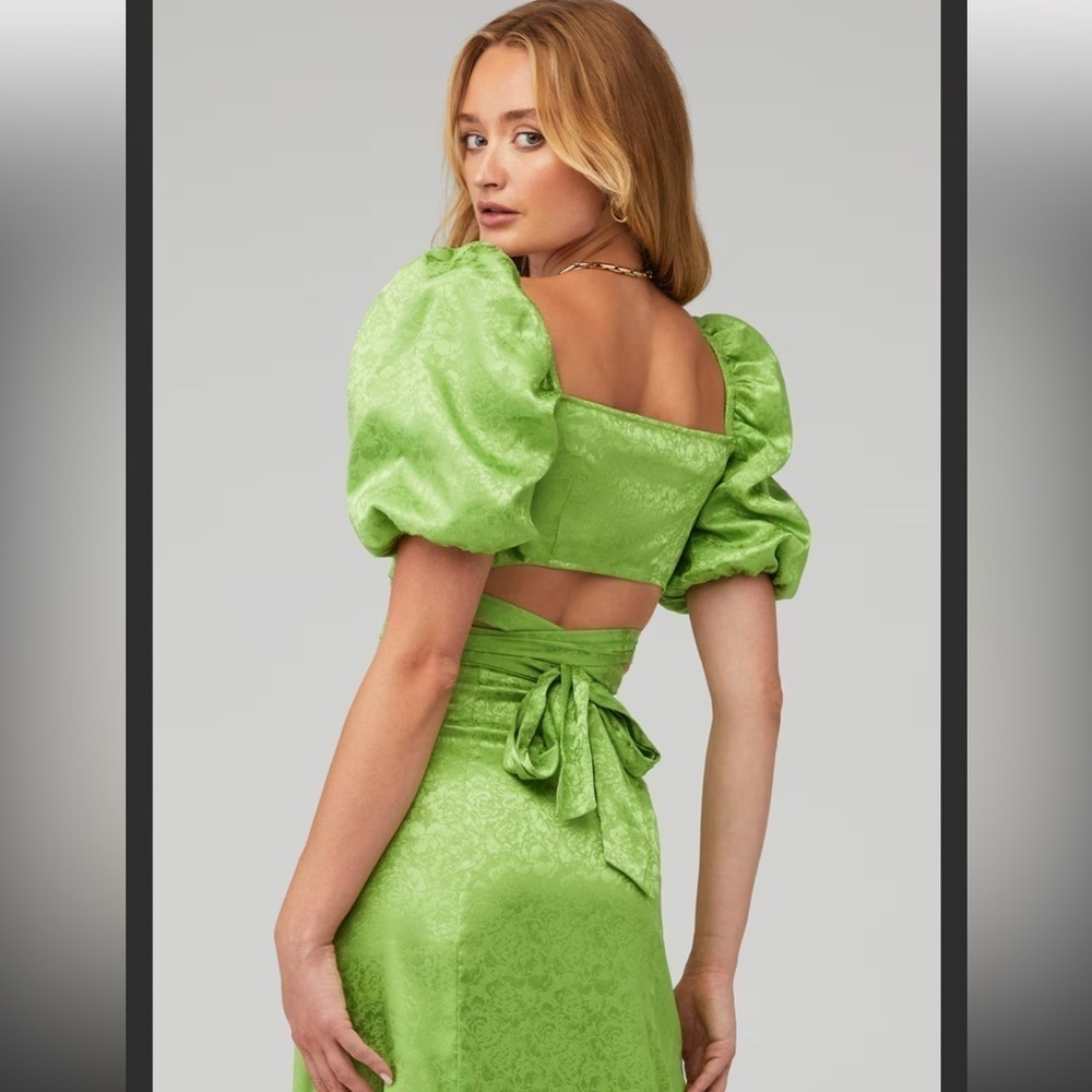 SET Ronny Kobo NWT Green Zano top & Marlo Maxi High Slit Skirt Set ($706) SMALL - Picture 7 of 9